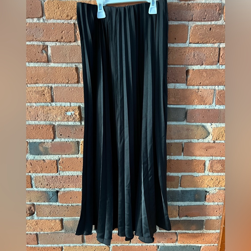 NWOT Zara Pleated Skirt